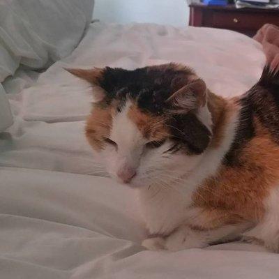 photo of Kathrine S.