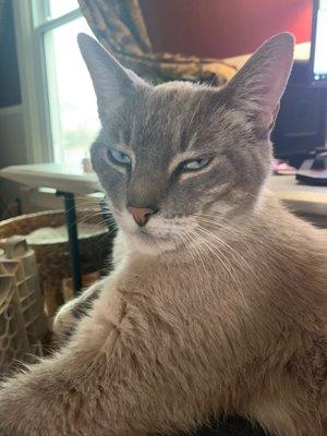 Photo of Jonathan M.