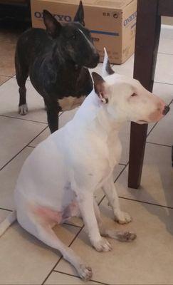 photo of Emiliano U.