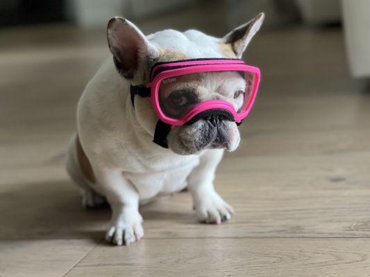 photo of Humphrey O.