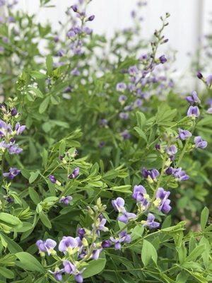 photo of Michelle T.