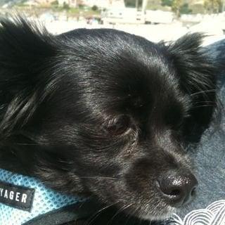 photo of Stephanie P.