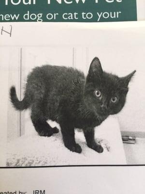 Photo of Nova N.