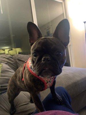 photo of Veronica M.