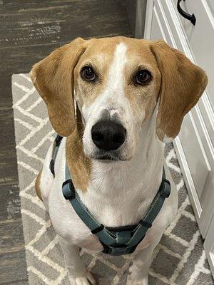 photo of Stephanie R.