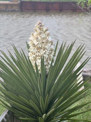 photo of Patricia R.