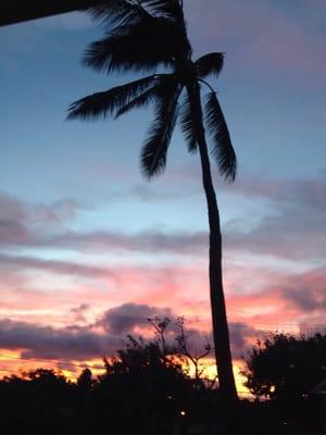 photo of Caroline R.