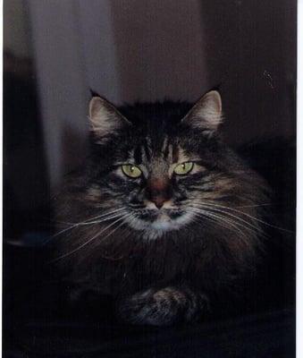 photo of Margaret S.