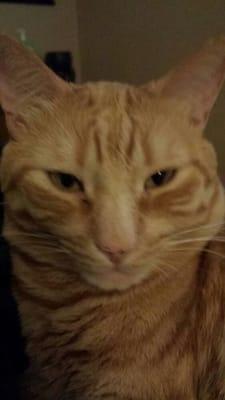 Photo of Elizabeth B.