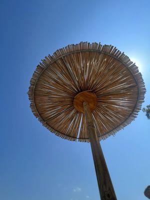 photo of Jonathan P.