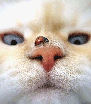 photo of Mistress B.