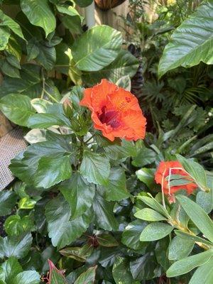 photo of Katherine K.