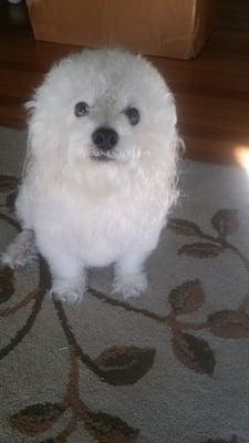 Photo of Chien L.