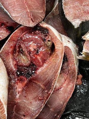 photo of Laurence F.