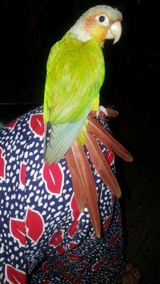Photo of Rossa C.