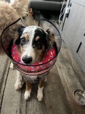Photo of Conner S.