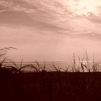 Photo of Julie S.