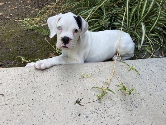 photo of Jennifer C.