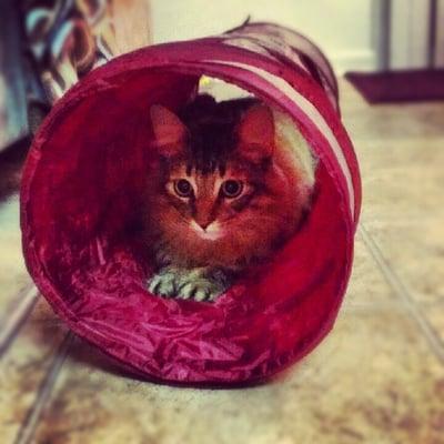 photo of Kristina C.