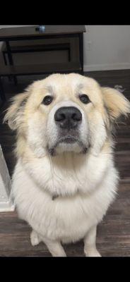 photo of Esmeralda Q.