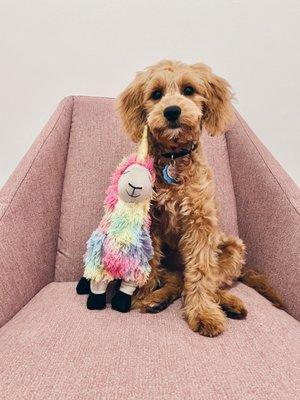 photo of Christina C.