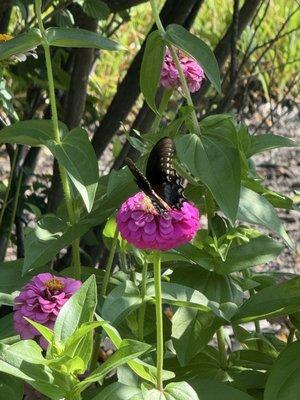 photo of Experienced Teacher T.