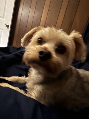 Photo of Miss L.