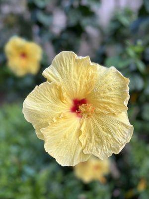 photo of Michelle L.