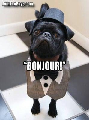 photo of Christopher M.