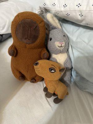 photo of heriberto H.