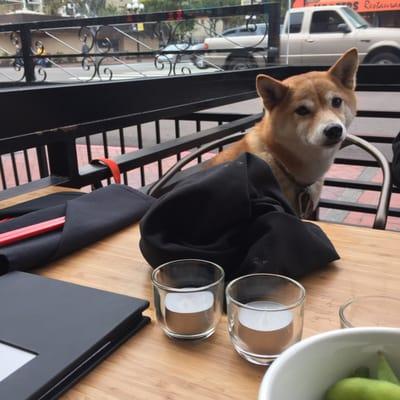 photo of Michaelene G.