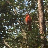 photo of Jennifer S.