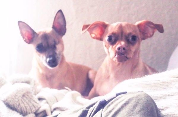 photo of Kimberly F.