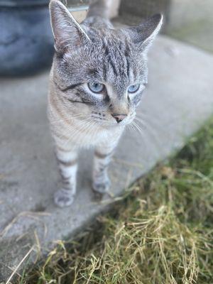 Photo of Miss J.