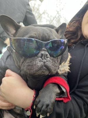 photo of 7osvngeles ..