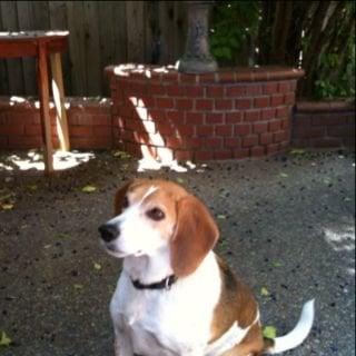 photo of Little One E.