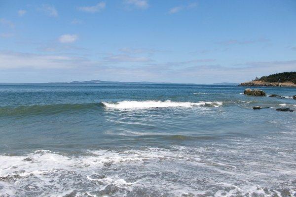 Photo of Island Dweller G.