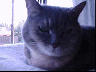 photo of Feeoryne M.