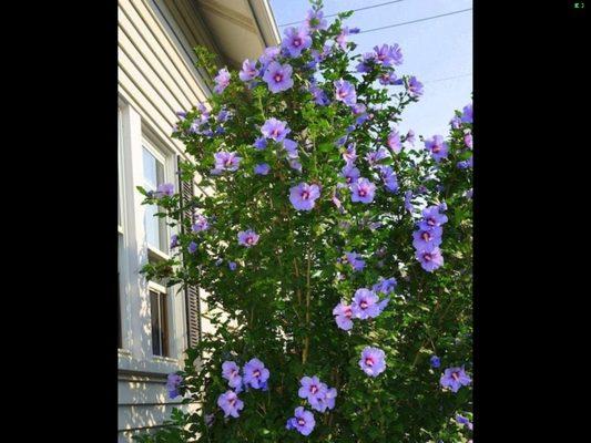 photo of Christopher C.