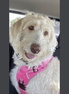 photo of Danielle B.