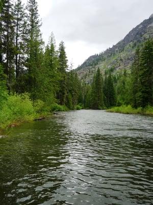 photo of T K.