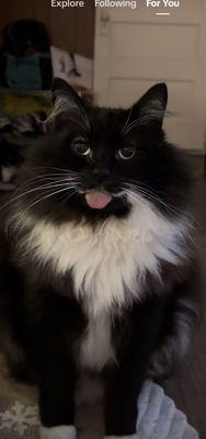 photo of Themotheryouneverhad L.