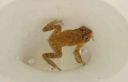 photo of Virginia W.