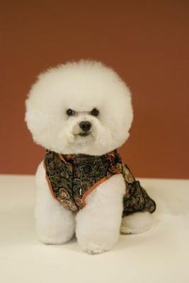 photo of Silver Rose R.