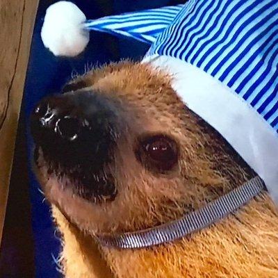 photo of Elizabeth C.