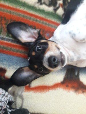 Photo of Melena Metina B.