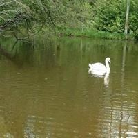 photo of Danielle B.