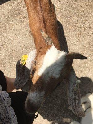 photo of Cheyenne T.