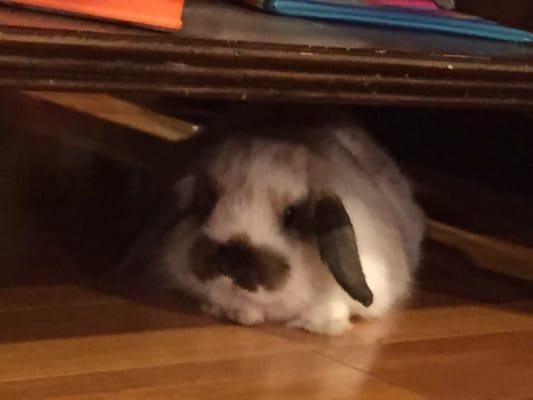 Photo of Meet R.
