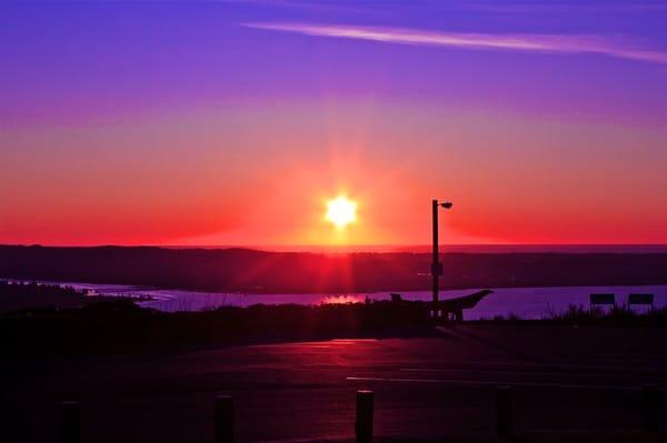 Photo of Bakerbuddydoodle M.